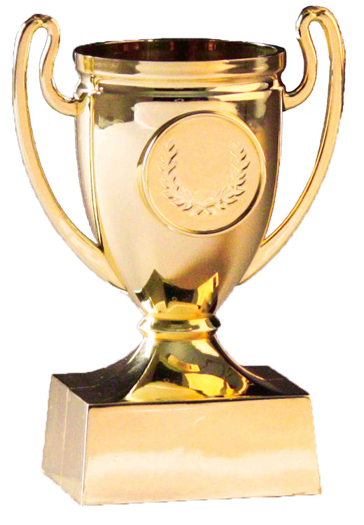 Fußball Pokal